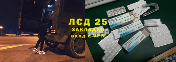 крисы Кодинск