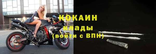 крисы Кодинск