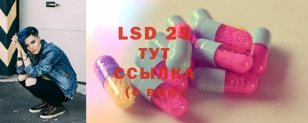 крисы Кодинск