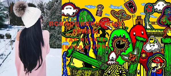 крисы Кодинск
