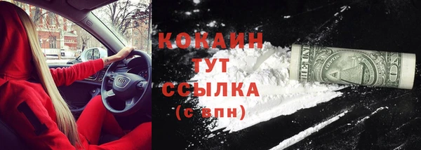 крисы Кодинск