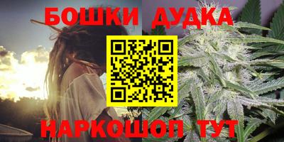 дмт Будённовск