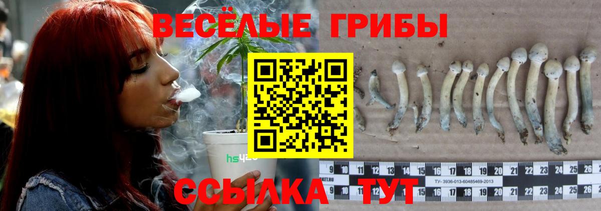 Псилоцибиновые грибы Psilocybine cubensis  Вход с VPN  Новомосковск 