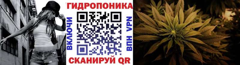 где купить наркоту  Новомосковск  Каннабис ГИДРОПОН 